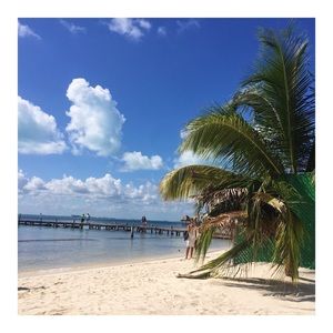 Meet your Posher, Maggie